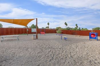 Dog park